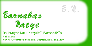 barnabas matye business card